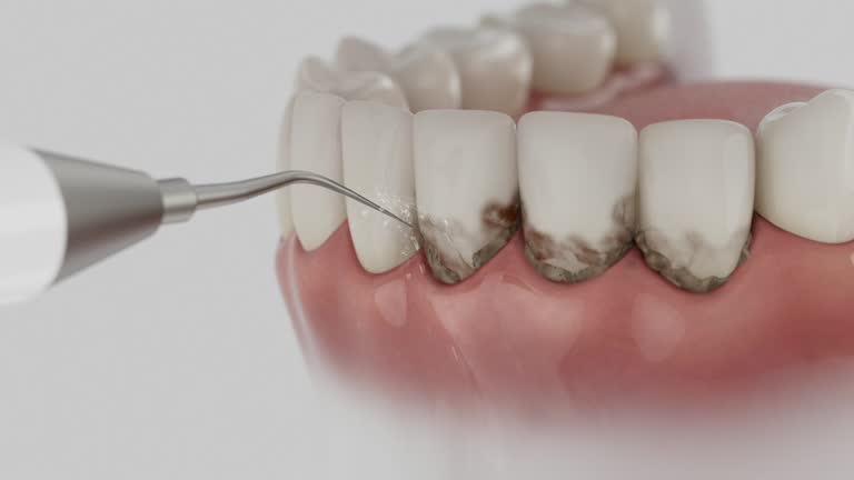 Reliable Dental contractor in Polk County County, MN by Dentist Open Now